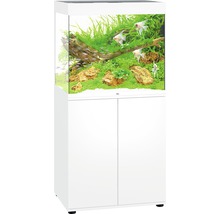 Komplett-Aquarium mit Schrank, inklusive Fische, Pflanzen und Dekoration