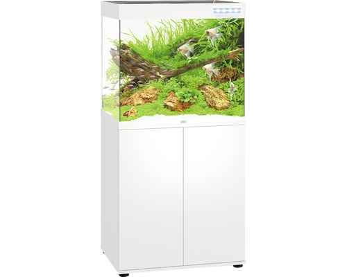 Komplettes Aquarium mit Unterschrank in Weiß, inklusive Dekoration und Fischen.