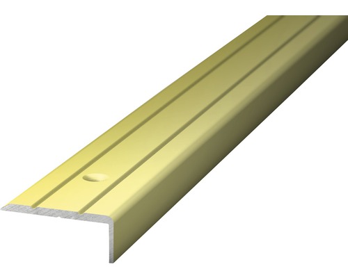 Prinz Winkelprofil Alu sahara gelocht 24,5 x 10 x 1000 mm Treppenkantenprofil aus Metall mit Schraubloch