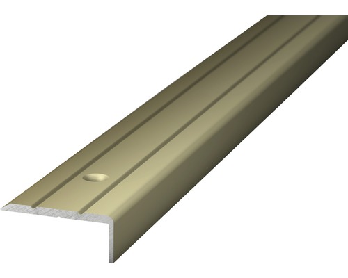 Prinz Winkelprofil Aluminium edelstahl 2700x24,5 mm Treppenkantenprofil aus Aluminium