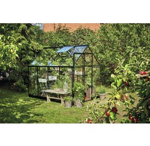 Gewächshaus mit Pflanzen und Gartenmöbeln im Garten
