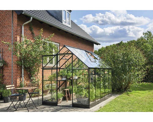 Gewächshaus aus Glas und Metall im Garten mit Pflanzen