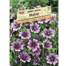 Sperli''s Stripes Malve Pflanze