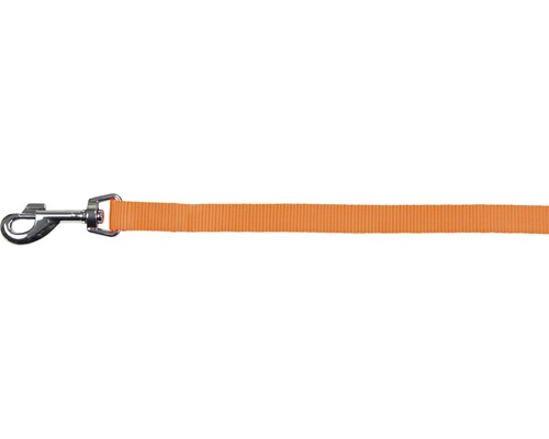 Orangefarbene Hundeleine mit Karabinerhaken