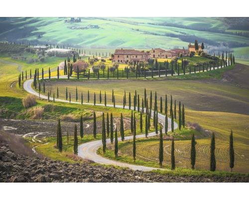 Fototapete Vlies 18048 Fields in Tuscany 7-tlg. 350 x 260 cm