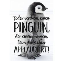 Jeder verdient einen Pinguin, der einem morgens beim Aufstehen applaudiert