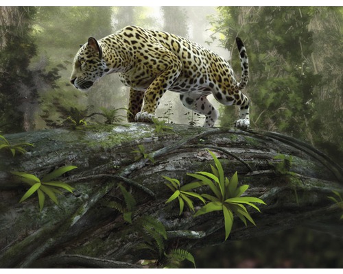 Fototapete Vlies 18063 Jaguar on the Prowl 7-tlg. 350 x 260 cm