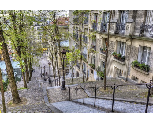 Fototapete Vlies 18064 Montmartre in Paris 7-tlg. 350 x 260 cm