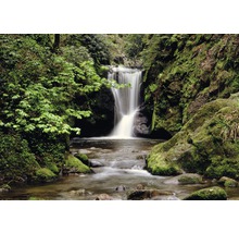 Wasserfall mit Steinen im Wald