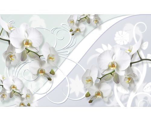 FototapeteVlies 1206 VEXXXL Weiße Orchidee Dekor 4-tlg.416 x 254 cm