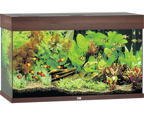 Aquarium JUWEL Rio 125 mit LED-Beleuchtung, Pumpe, Filter, Heizer ohne Unterschrank dunkles Holz Aquarium JUWEL Rio 125 mit LED-Beleuchtung, Pumpe, Filter, Heizer ohne Unterschrank dunkles Holz