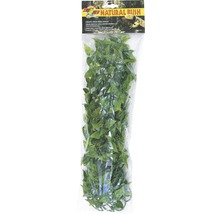 Kunststoffpflanze ZOO MED Mexican Phyllo Large-thumb-0 Kunststoffpflanze ZOO MED Mexican Phyllo Large-thumb-0