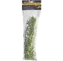 Kunststoffpflanze ZOO MED Bolivian Croton Large-thumb-0 Kunststoffpflanze ZOO MED Bolivian Croton Large-thumb-0