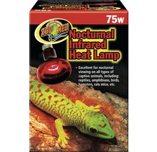 Zoo Med Nocturnal Infrarot Wärmelampe 75 Watt