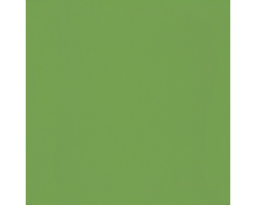 Steinzeug Wandfliese Colour 19,8x19,8 cm grün glänzend