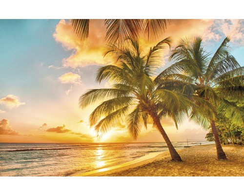 Fototapete Papier Barbados Palmen Strand 350 x 260 cm