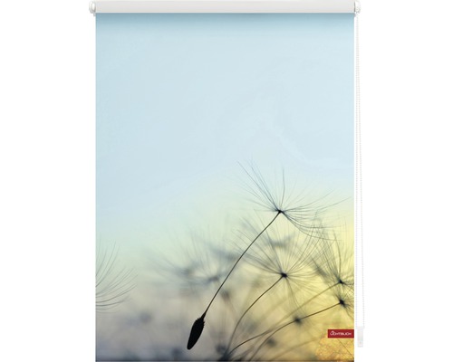 Fensterrollo mit Pusteblumen-Motiv für den Innenbereich