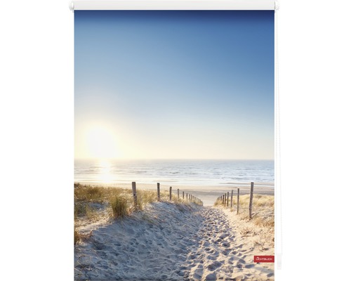 Rollo mit Strandmotiv und Dünenlandschaft