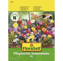 Blumensamenmix FloraSelf 'Pflegeleichte Sonnenkinder' einjährig Saatband samenfestes Saatgut-thumb-0