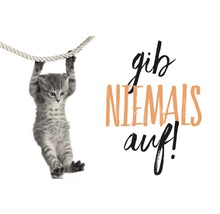 Motivationsbild mit einer Katze, die an einem Seil hängt, und dem Text Gib niemals auf!