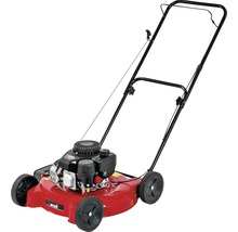 Rasentrimmer mit Verbrennungsmotor