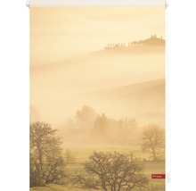 Rollo mit Landschaftsmotiv