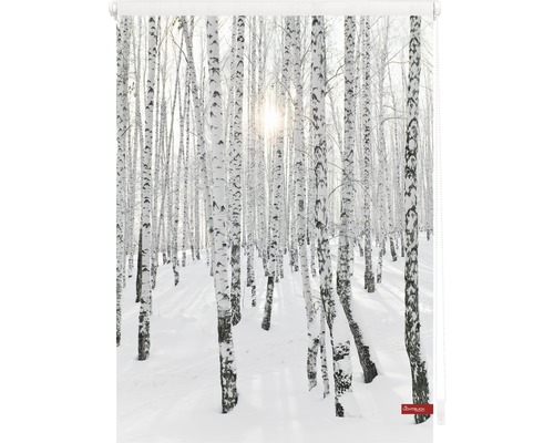 Rollo mit Birkenwaldmotiv für Fensterdekoration