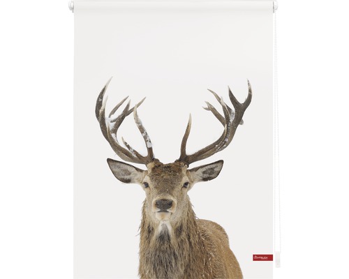 Rollo mit Hirschmotiv