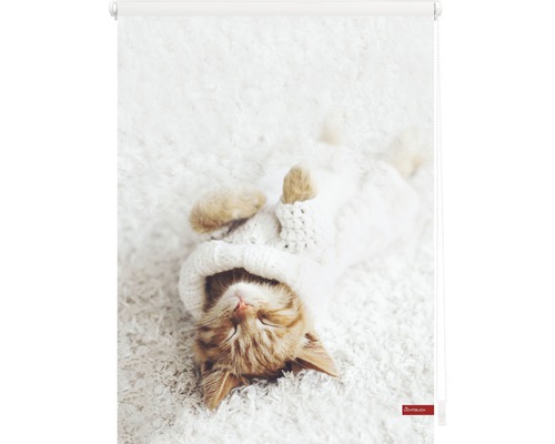 Rollo mit Motiv eines schlafenden Kätzchens mit Mütze