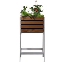 Hochbeet aus Holz und Metall mit Bepflanzung