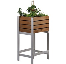Hochbeet aus Holz mit Pflanzen