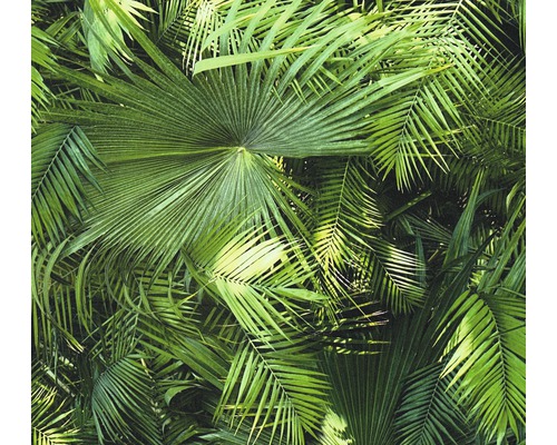 Vliestapete 36200-1 Neue Bude 2.0 Palmenblatt Nahaufnahme von grünen Palmenblättern