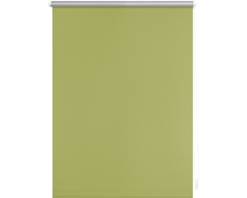 Grüne Rollgardine für Fenster