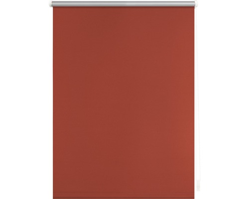 Rollo für Fenster und Türen