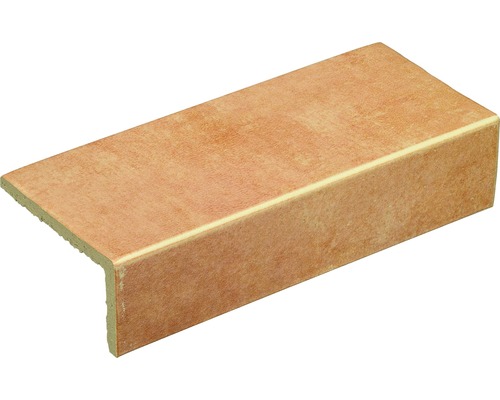 Steinzeug Treppenstufe Cotto 10,5x24,5 cm braun matt