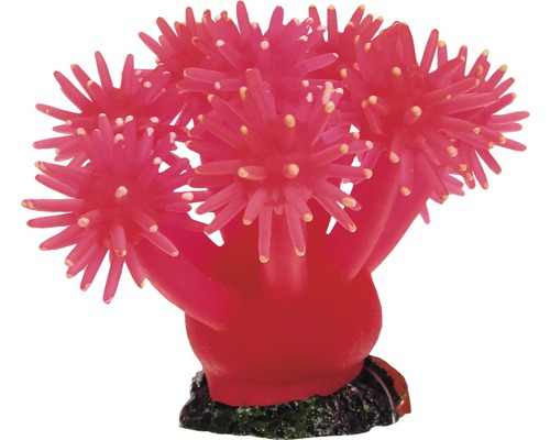 Smiling Coral pink, small, 9 cm