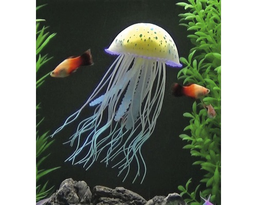 Dekorative Kunstqualle im Aquarium mit Fischen und Pflanzen Dekorative Kunstqualle im Aquarium mit Fischen und Pflanzen