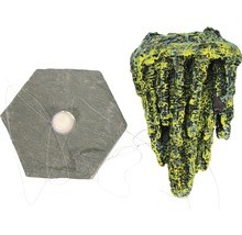 Aquarium Dekoration mit Schieferplatte und Höhle