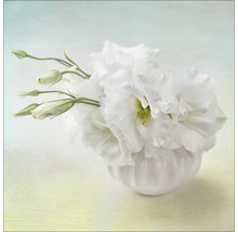 Weiße Blumen in einer Vase