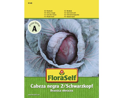 Rotkohl 'Cabeza negra 2 / Schwarzkopf' FloraSelf samenfestes Saatgut Gemüsesamen