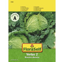 Wirsing 'Vertus 2' FloraSelf samenfestes Saatgut Gemüsesamen-thumb-0