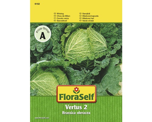 Wirsing 'Vertus 2' FloraSelf samenfestes Saatgut Gemüsesamen-0