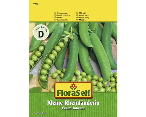 Schalerbse 'Kleine Rheinländerin' FloraSelf samenfestes Saatgut Gemüsesamen