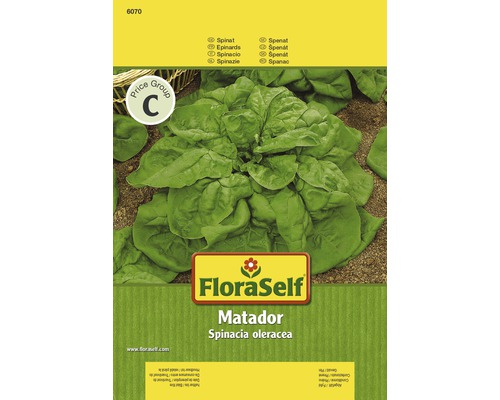 Spinat 'Matador' FloraSelf samenfestes Saatgut Gemüsesamen