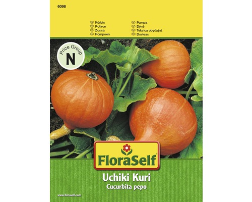 Kürbis 'Uchiki Kuri' FloraSelf F1 Hybride Gemüsesamen