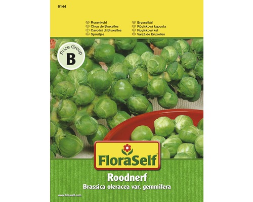 Rosenkohl 'Roodnerf' FloraSelf samenfestes Saatgut Gemüsesamen