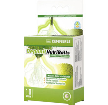 Dennerle Deponit NutriBalls Nährstoffkugeln, 10 Stück, zur Düngung von Aquarienpflanzen