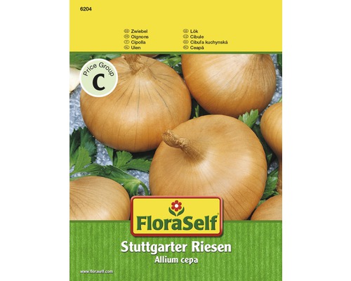 Zwiebel 'Stuttgarter Riesen' FloraSelf samenfestes Saatgut Gemüsesamen