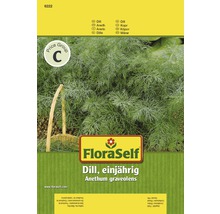FloraSelf Dillsamen, einjährig