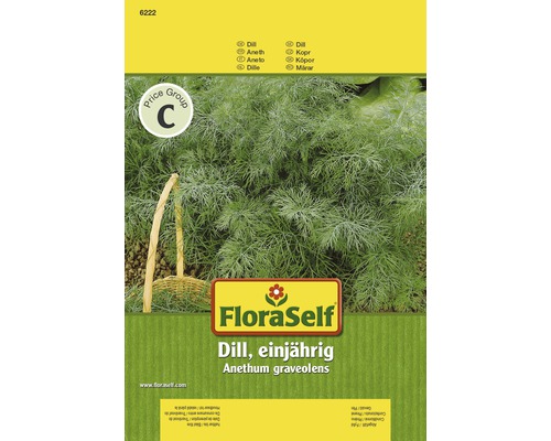 FloraSelf Dillsamen, einjährig